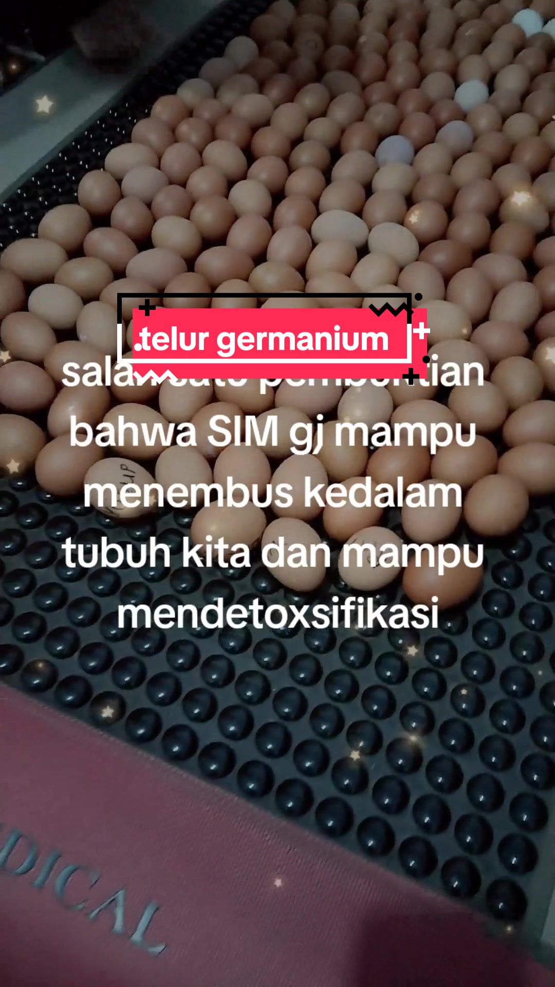 @terapi jambi