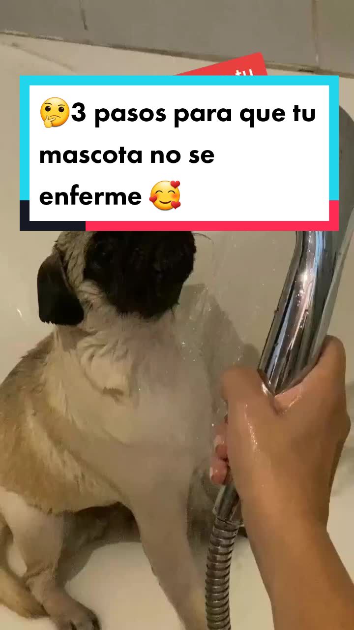@delimascotas