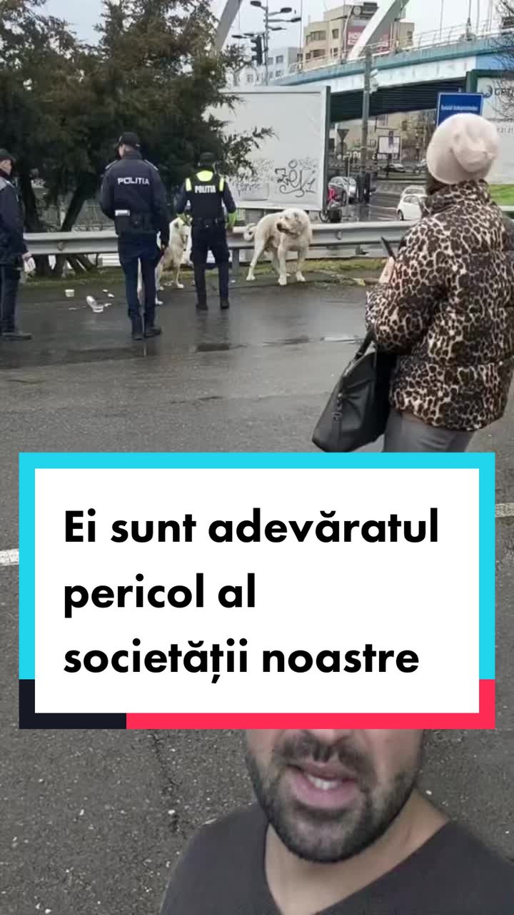 @Tudor-Tim Ionescu