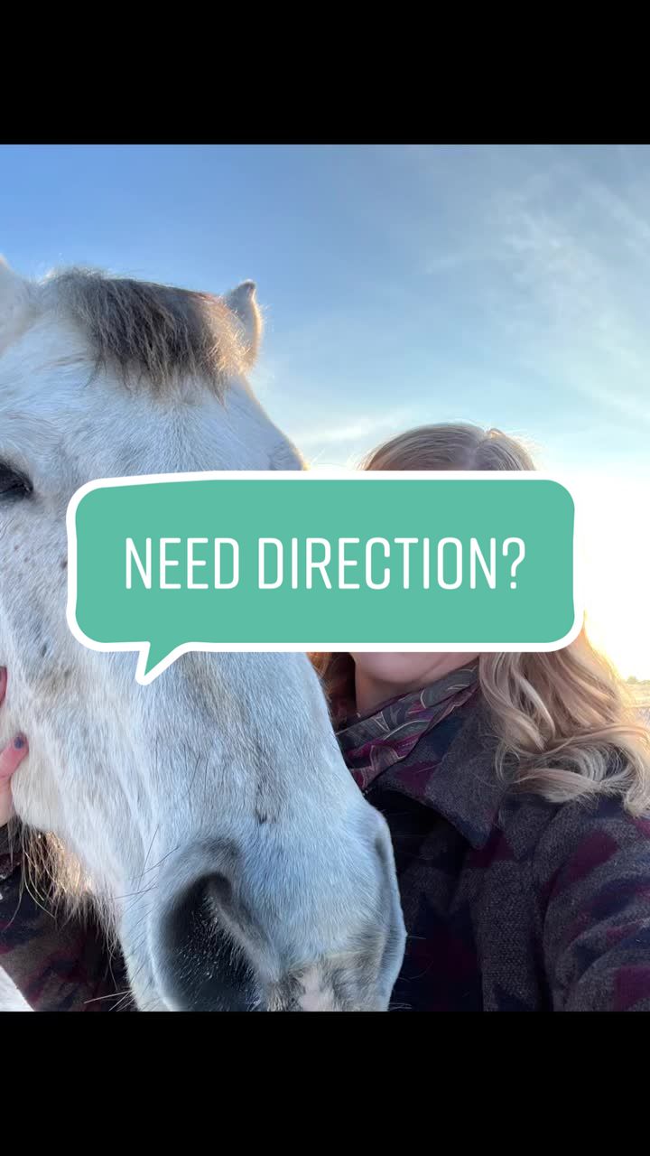 @Shari | Horses & Life Skills