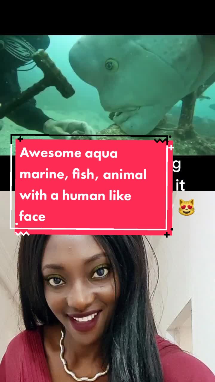 @Ochi