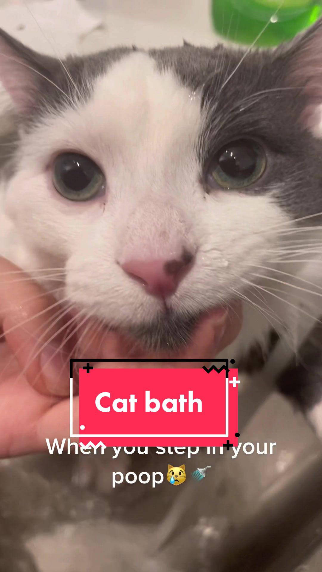 @FerociousRengar
