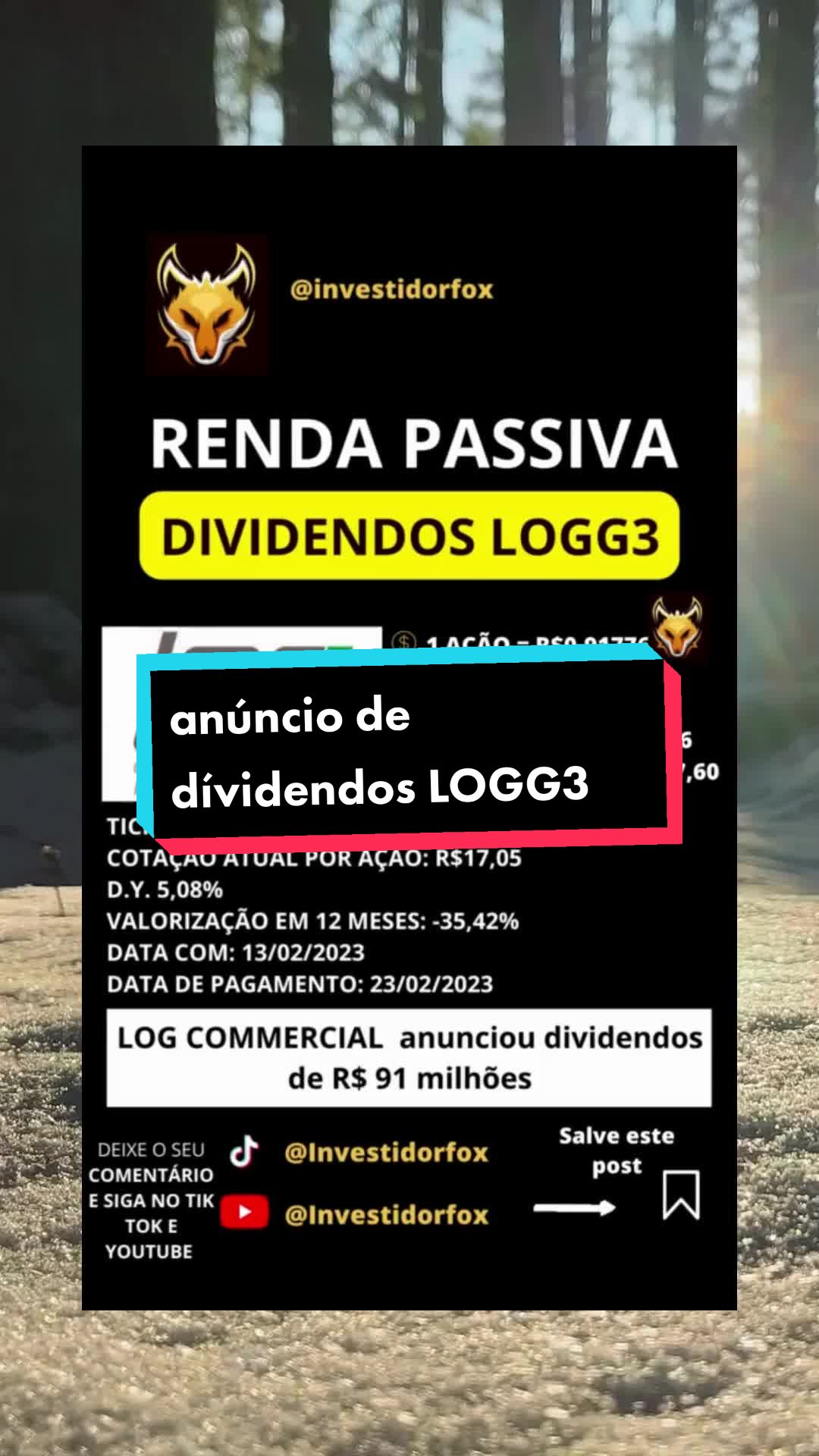 @InvestidorFox