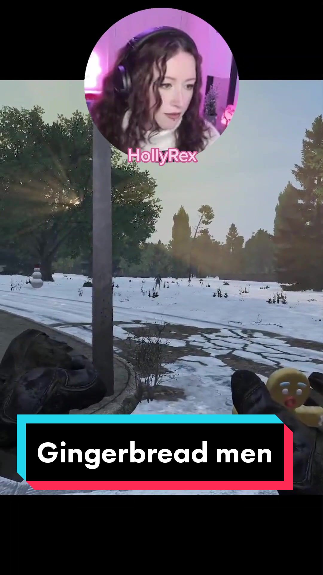 @HollyREX | Twitch
