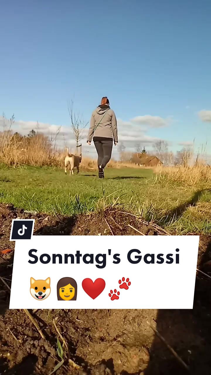 @Runa's Welt 🐾
