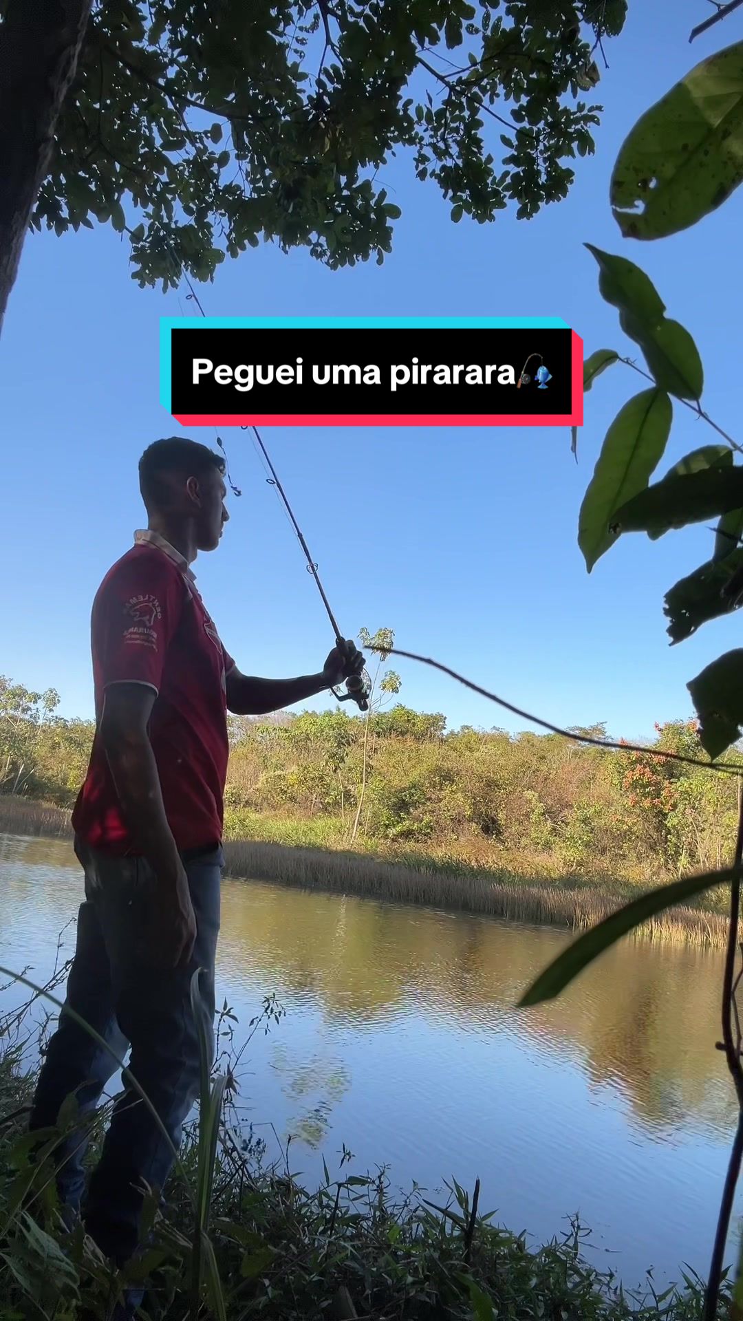 @GOIANO👨🏽🌾🇧🇷