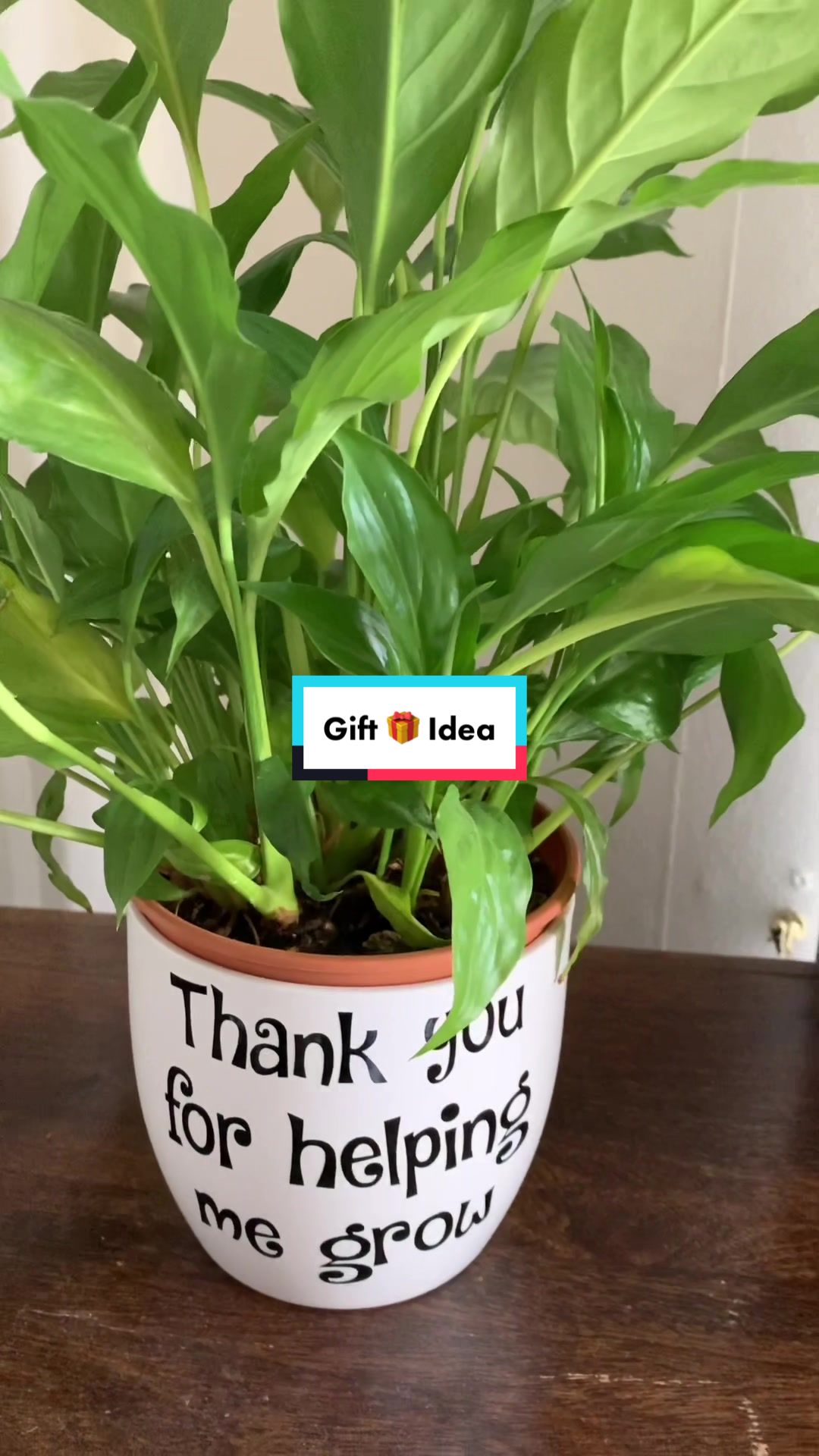 @Plant!U