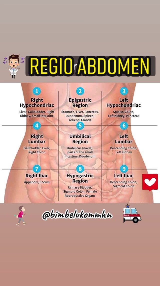 @bimbelukommhn