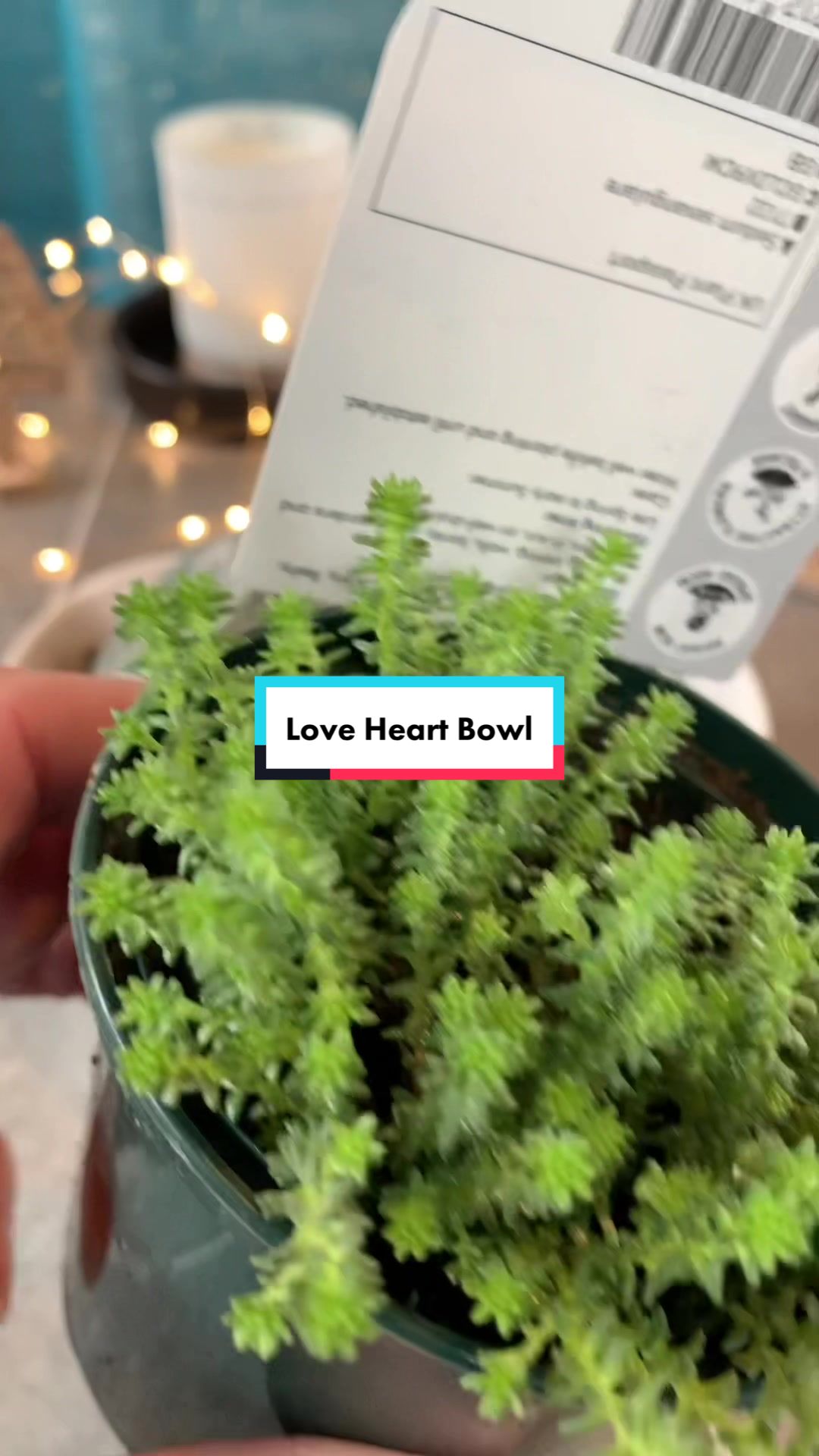 @Plant!U