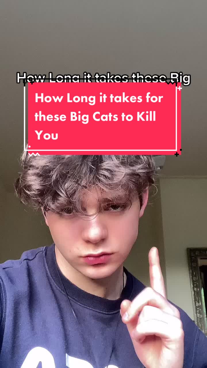 @Rhys