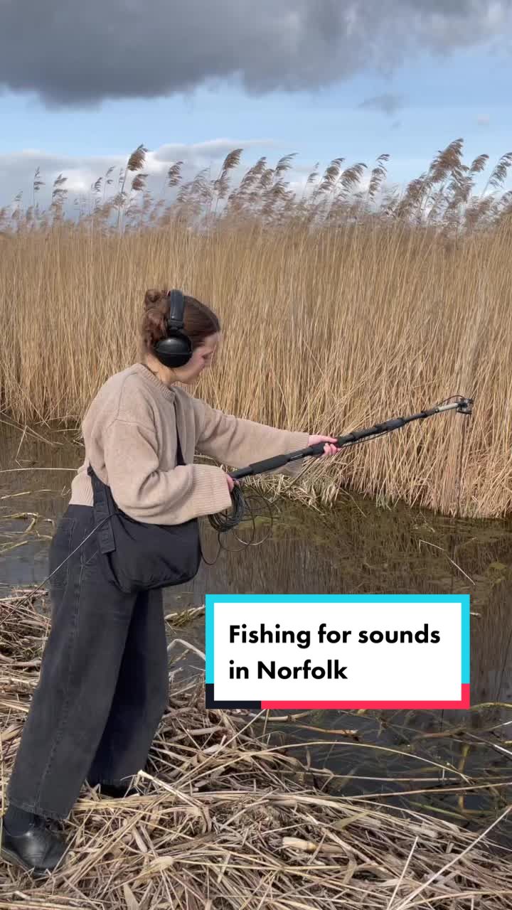 @Alice Boyd: nature music sound