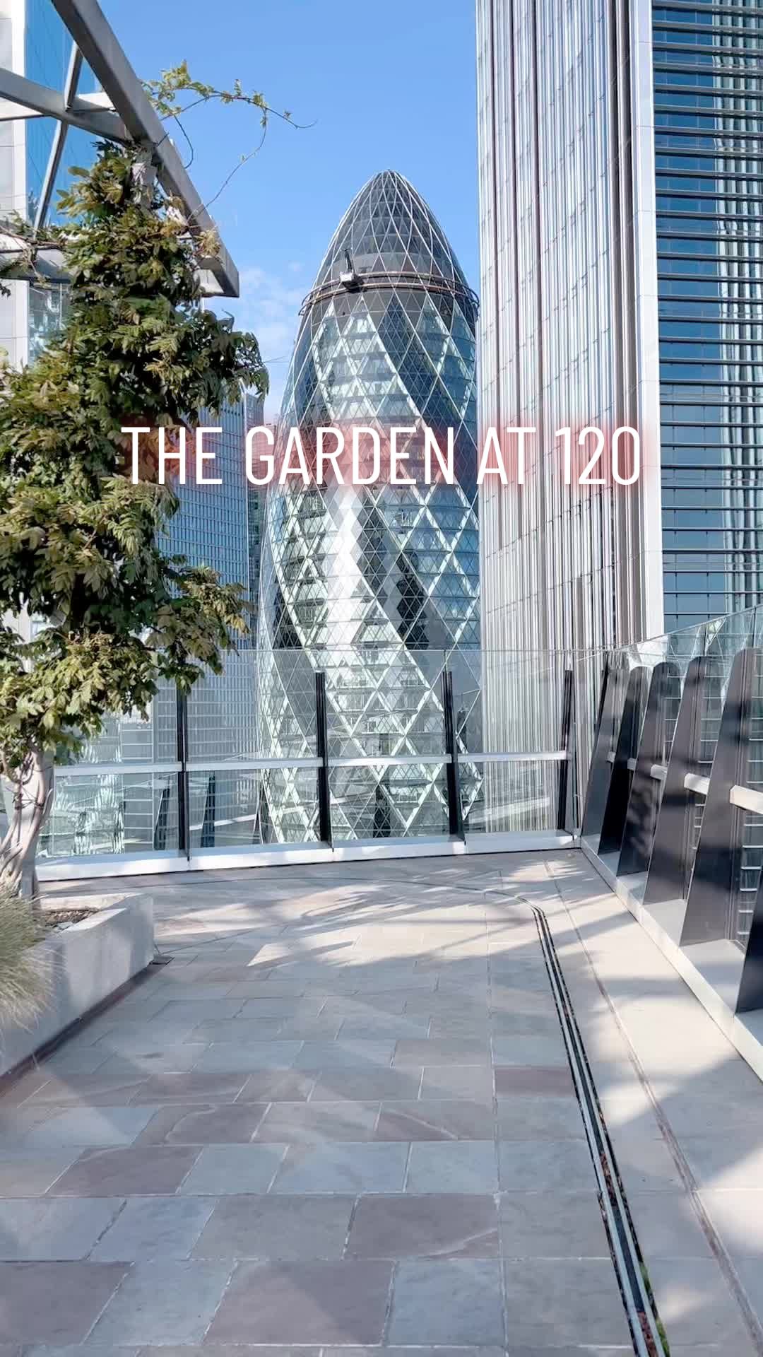 @thephotographypal