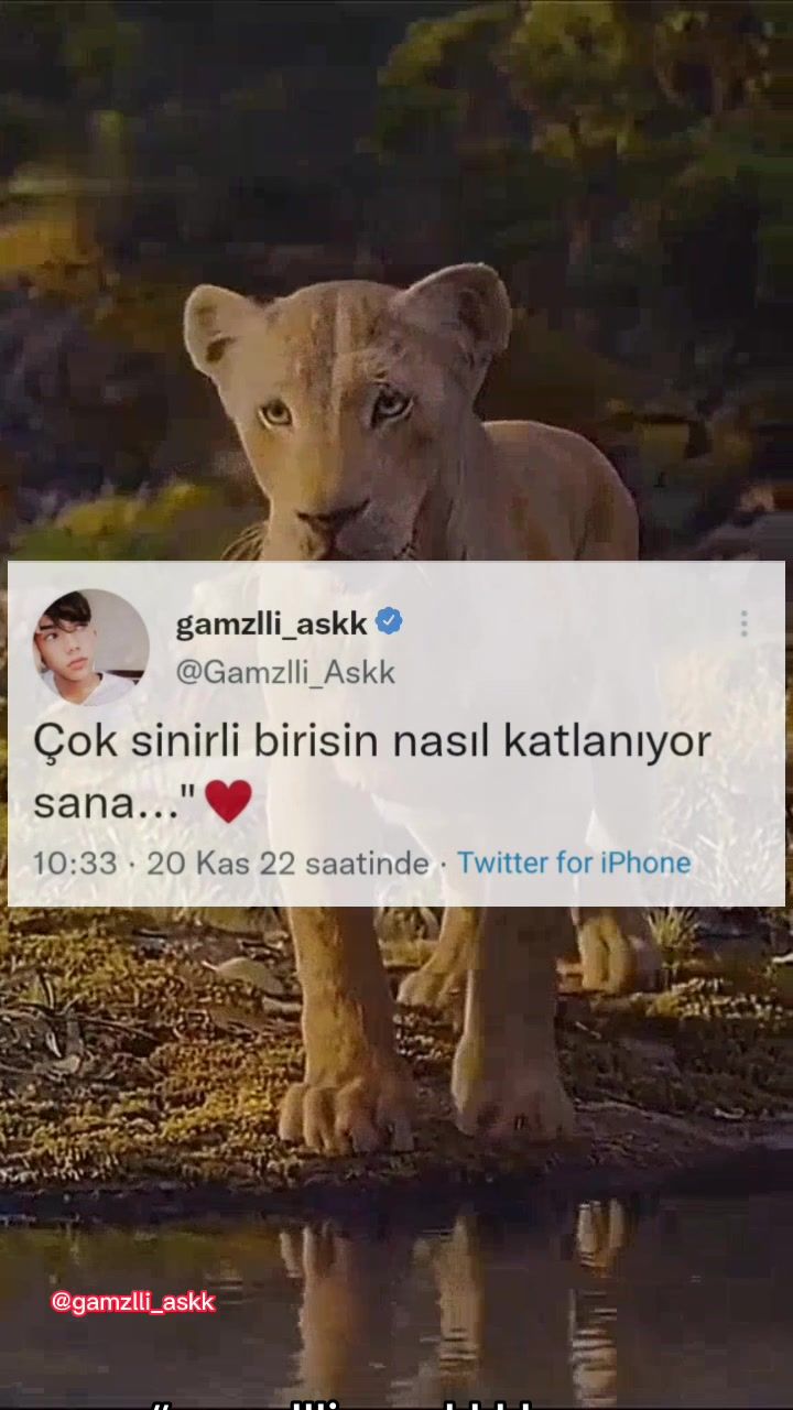 @tweetci_gamzlli_askk