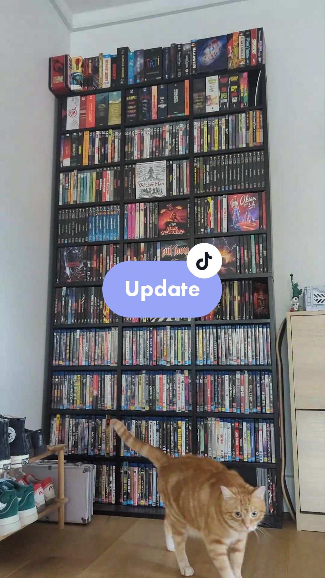 @user67876653151