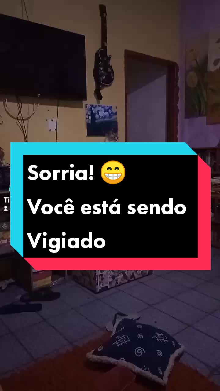 @Amordequatropatas