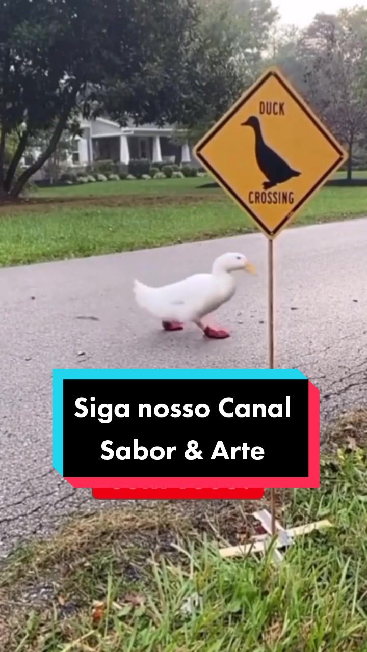 @Canal Sabor & Arte