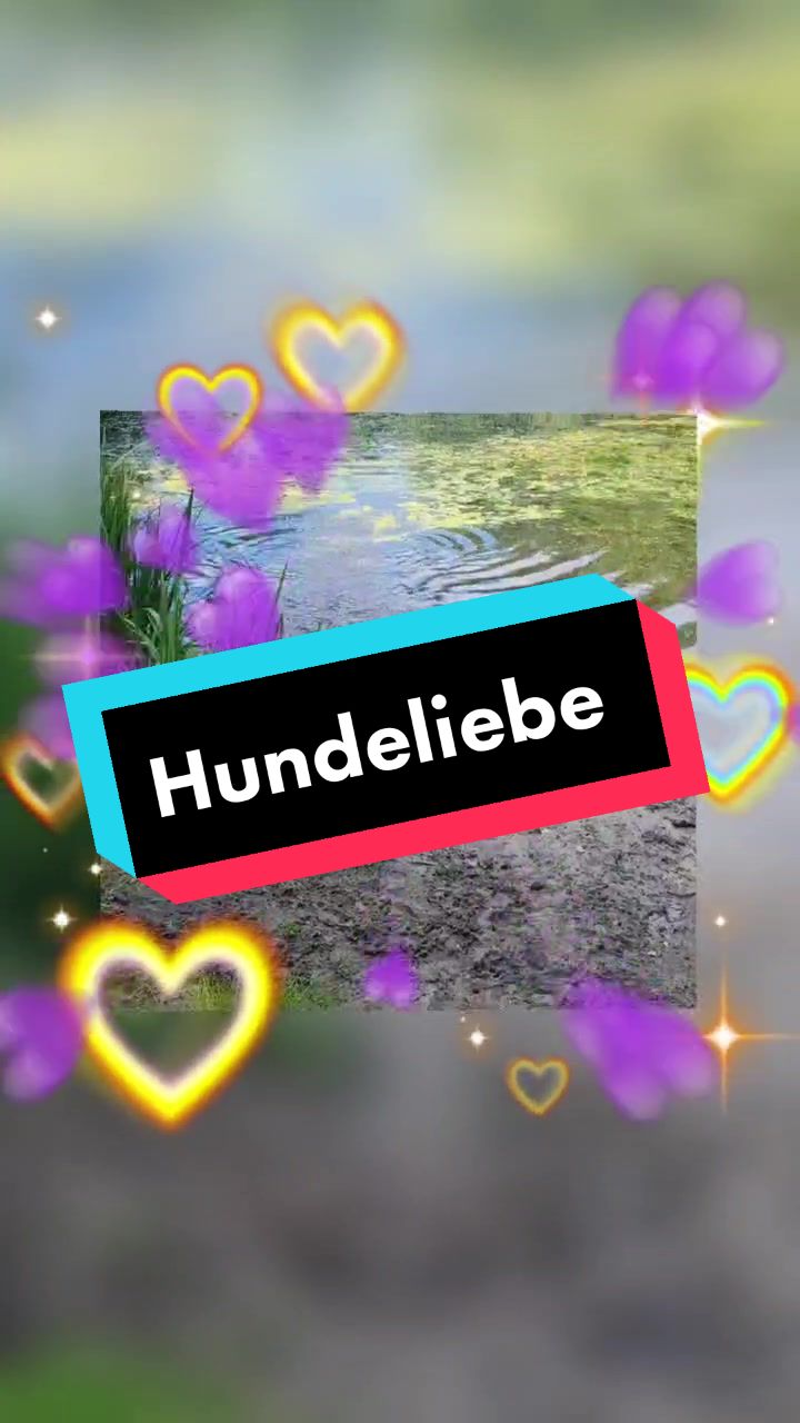 @Sebo_037