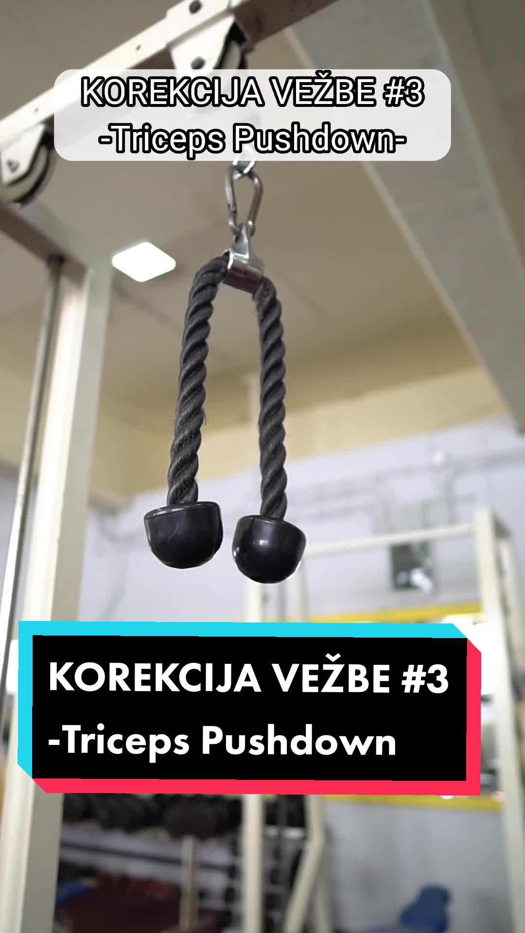 @Srdjan Mitić l Gym Saveti