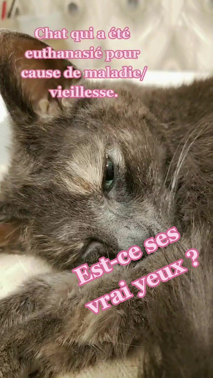 @May la taxidermiste 🇨🇦