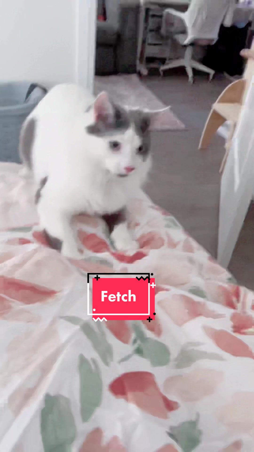 @FerociousRengar