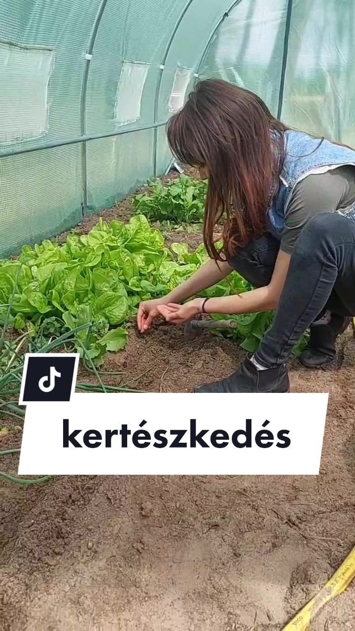 @Daisy Bukovicsné Bék