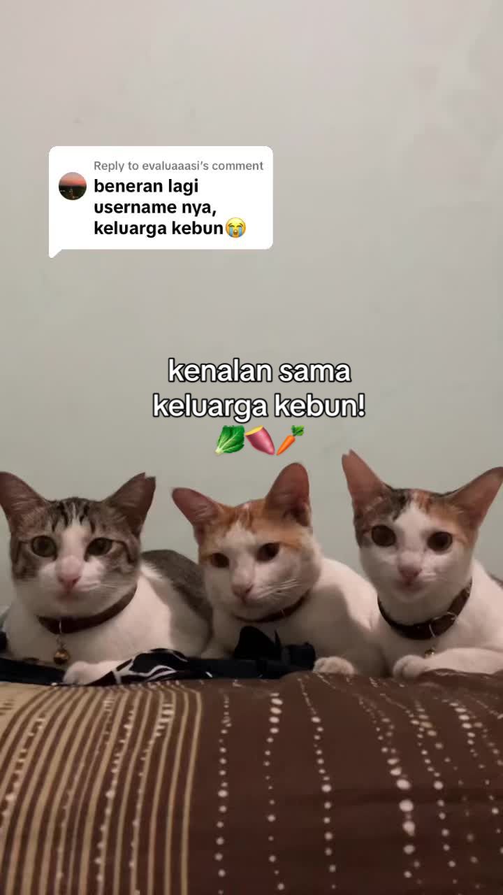 @Keluarga Kebun🍠🥬🥕