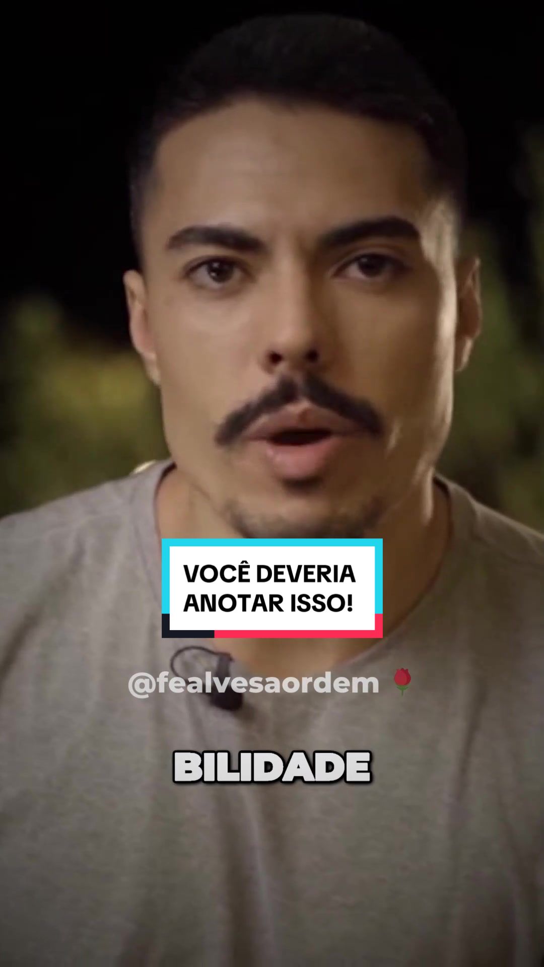 @Fê Alves | A Ordem 🌹