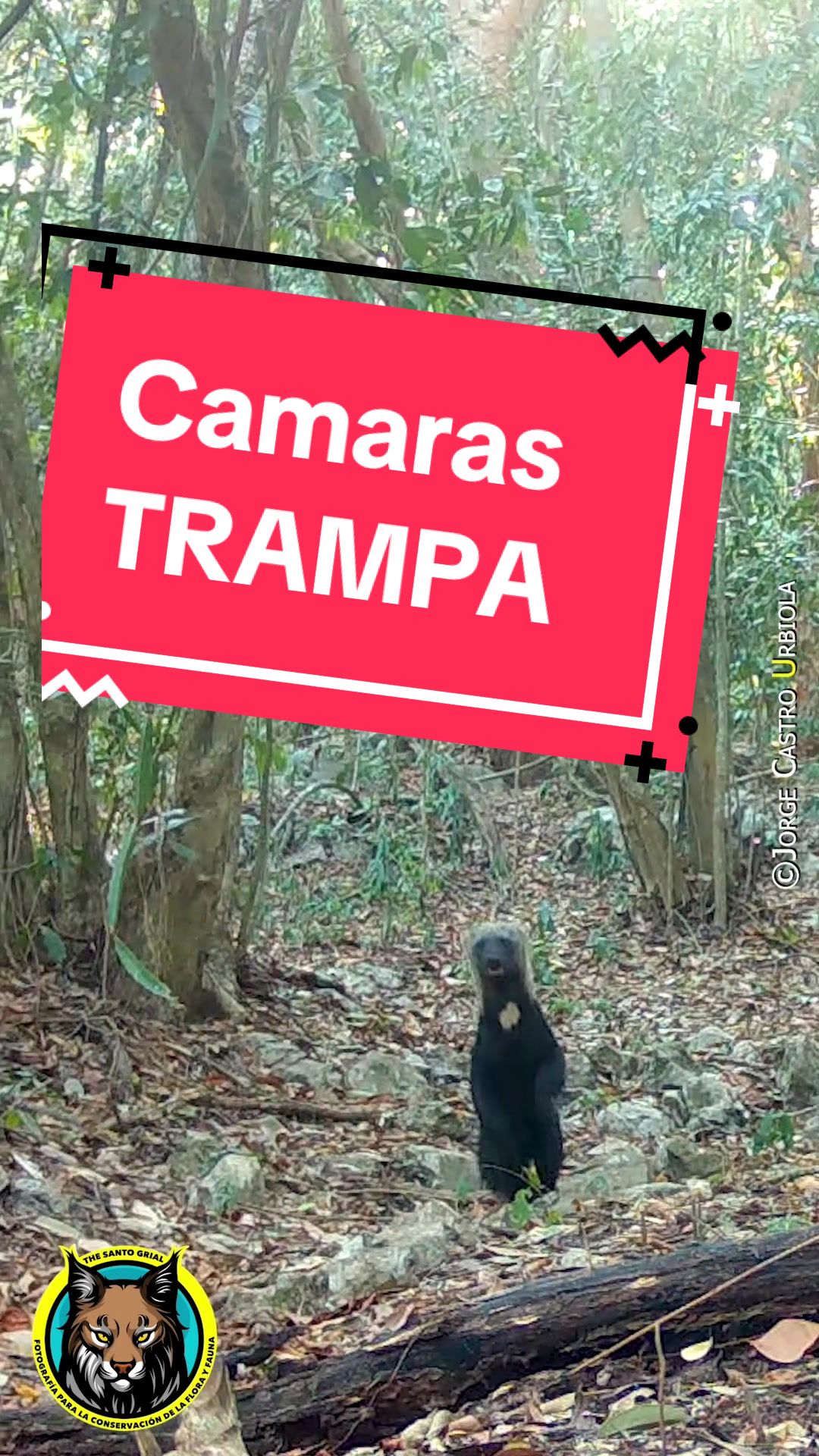 @Jorge Urbiola