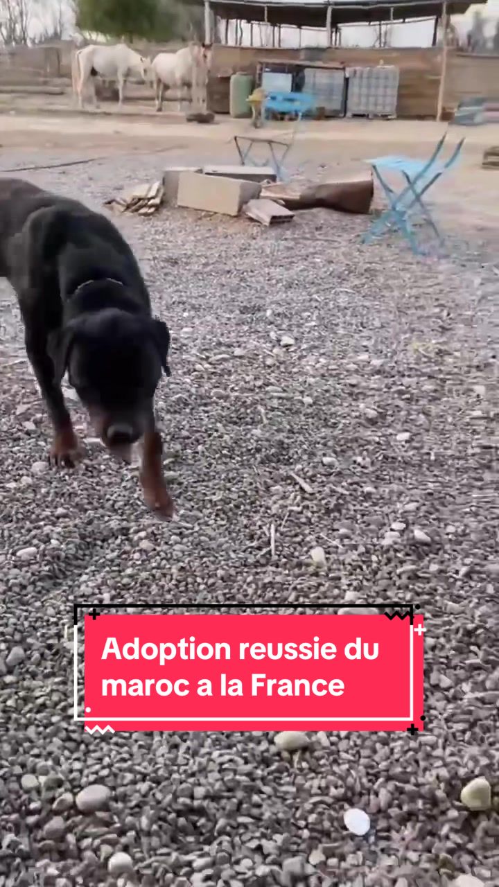 @Les écuries de la roseraie
