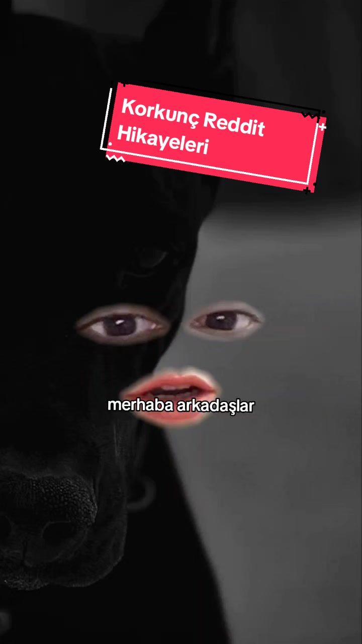 @Korku Kuşağı