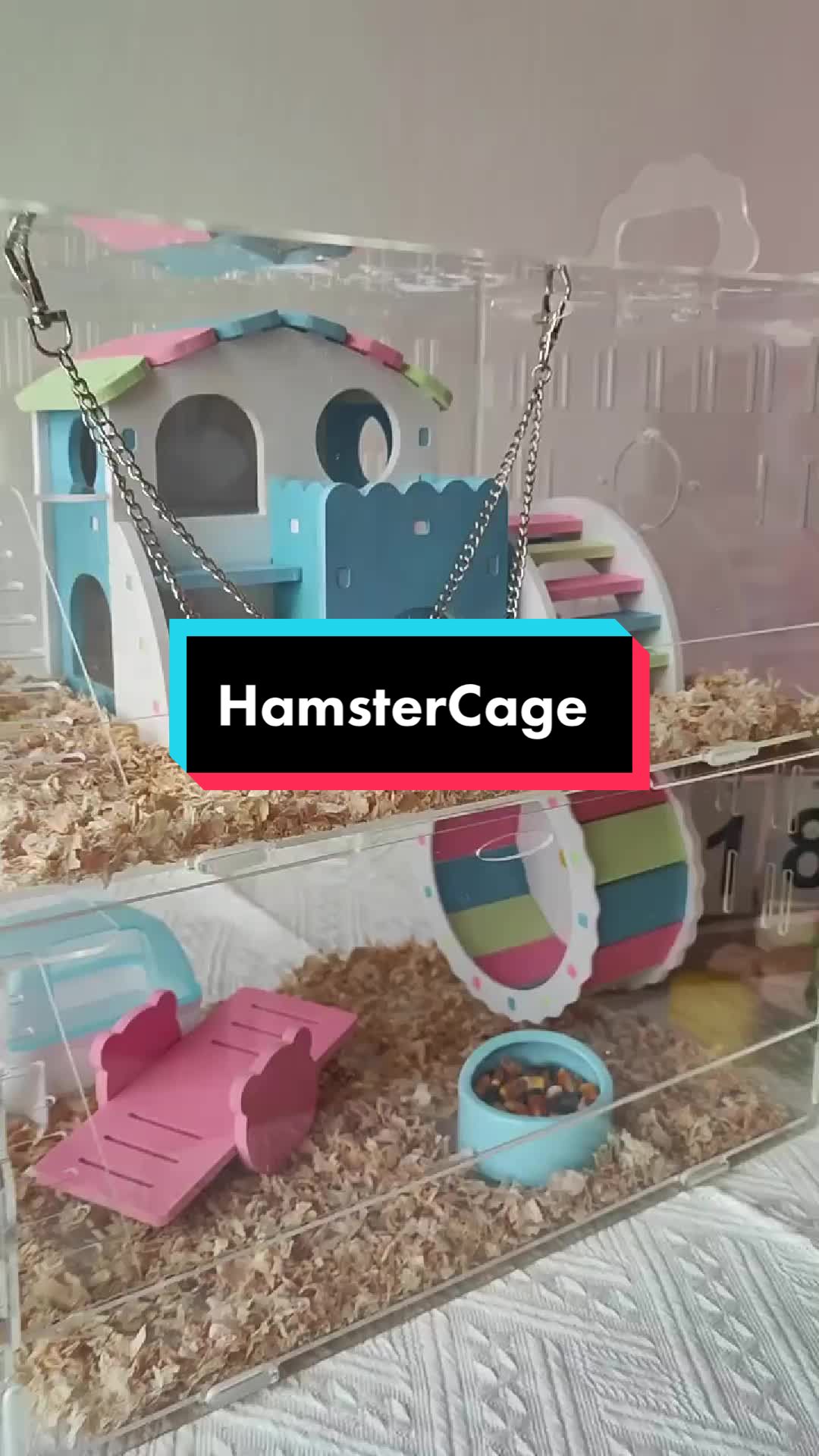 @Aicare Pet Studio