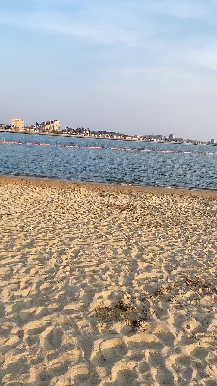 @豪炎寺修也