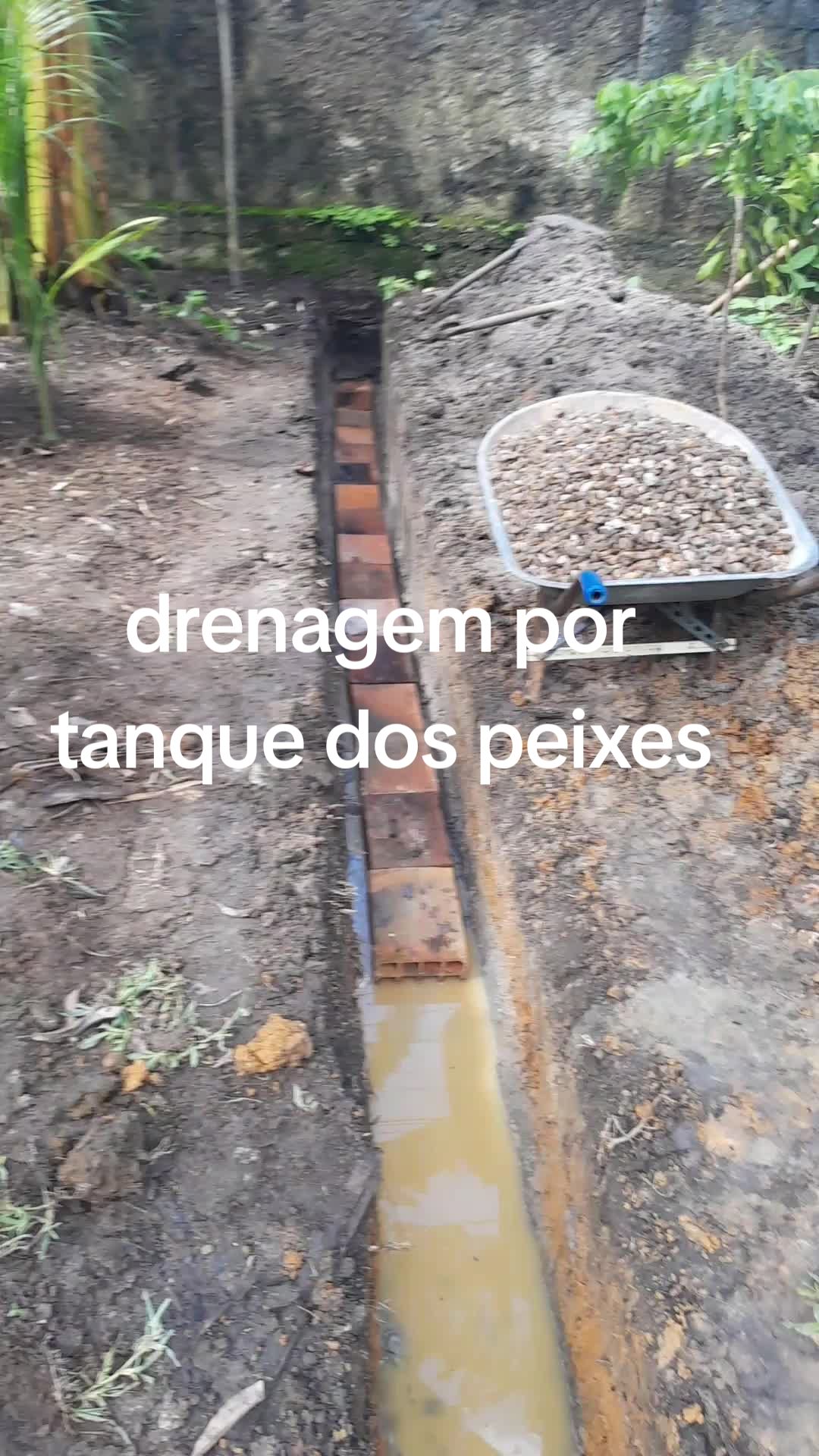 @paulo