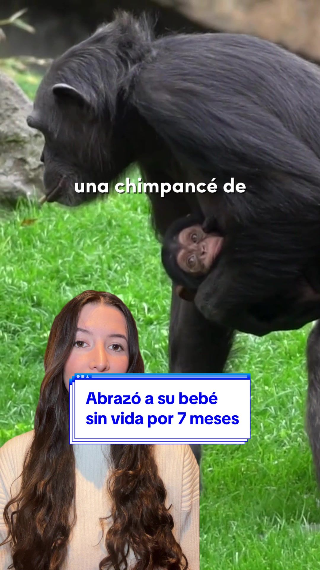 @Sofi Garcés 🌎