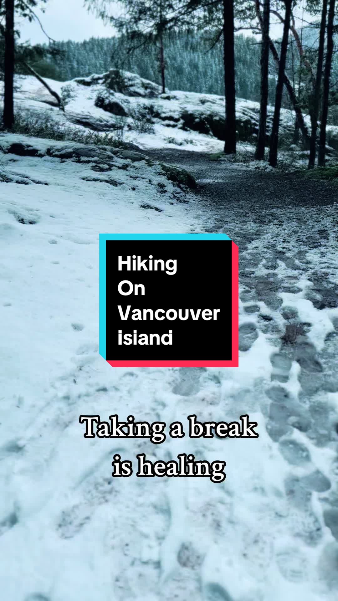 @Qualia_Reed🇨🇦