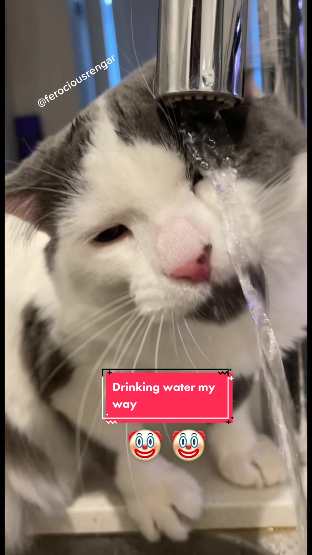 @FerociousRengar