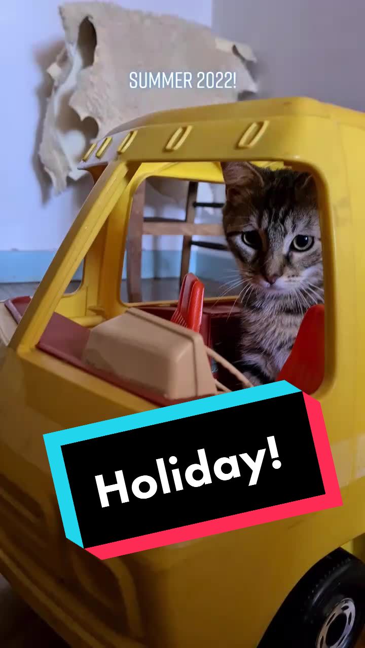 @TsukiTheCat