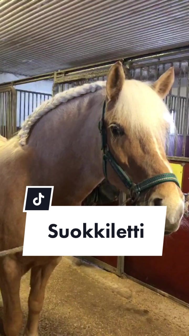 @kumpum&auml;en ratsastajat