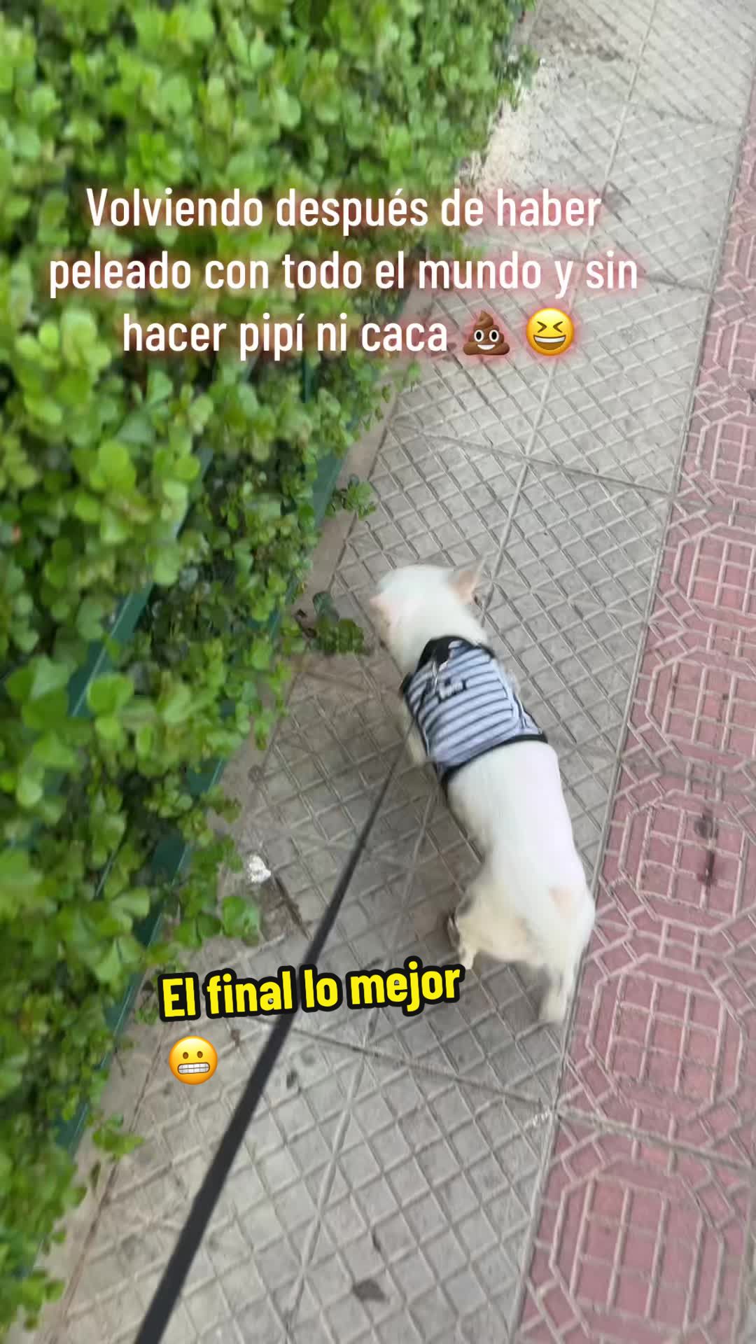 @Edu.urrutiau