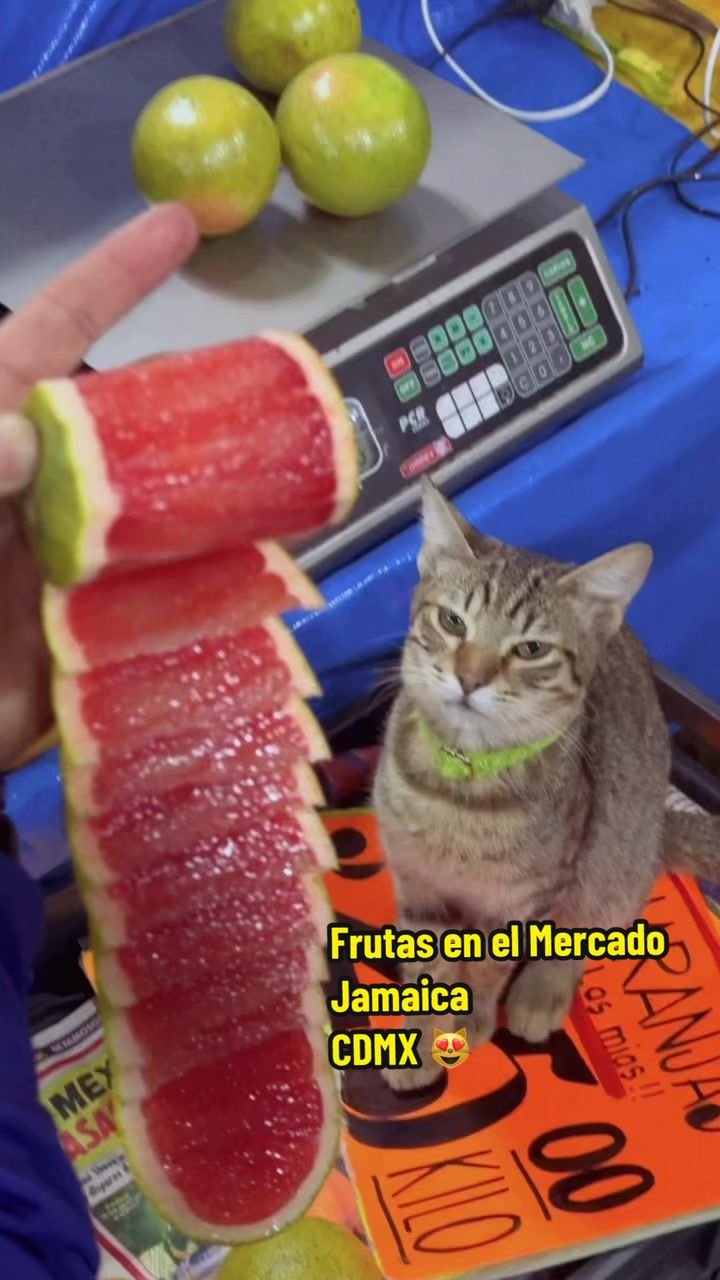 @ana