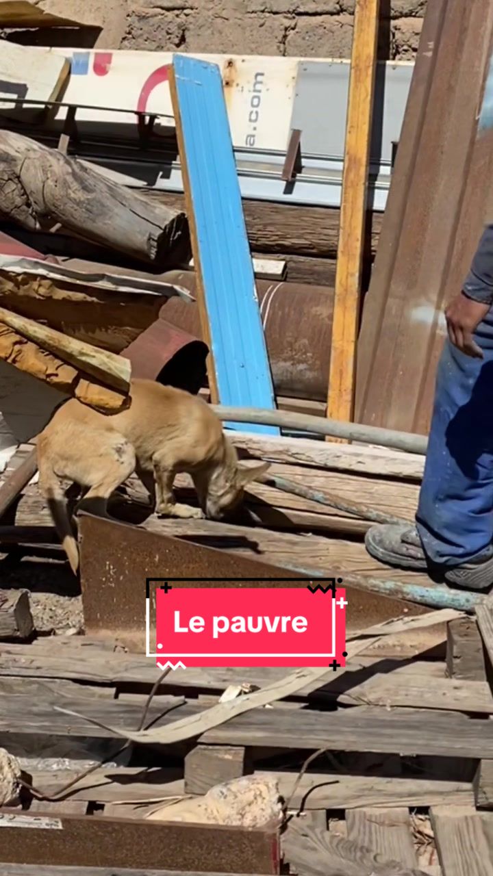 @Les écuries de la roseraie