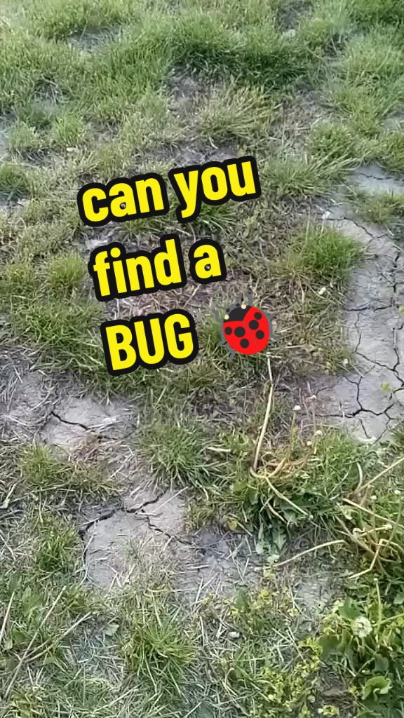@I_said_no!