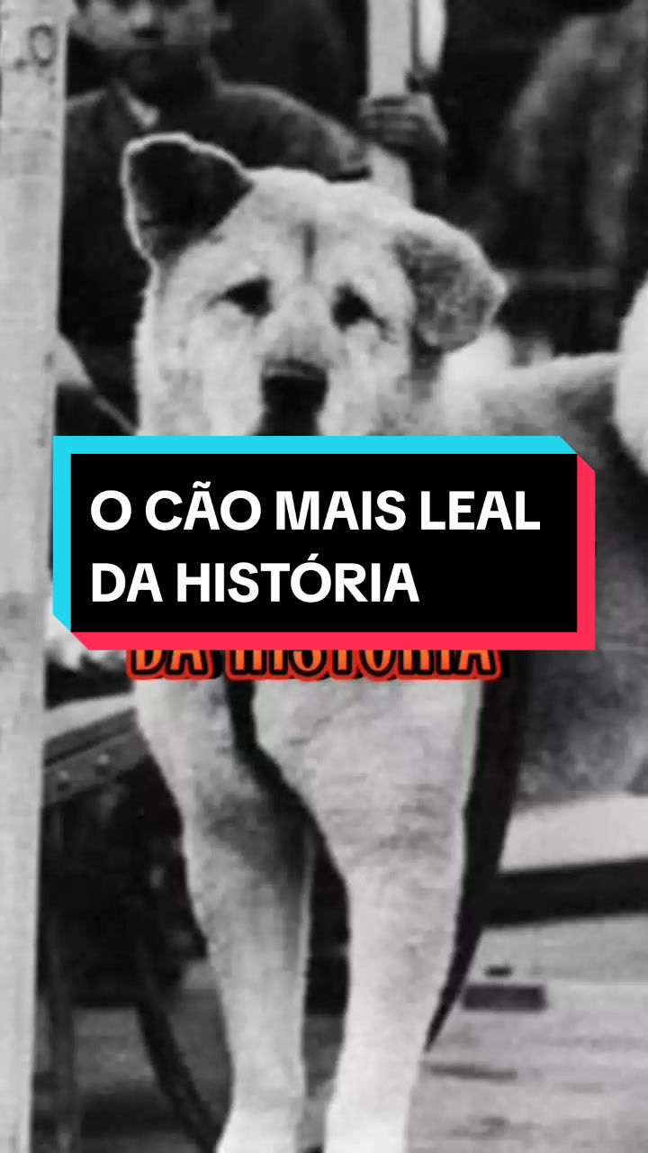 @Mist&eacute;rio ilustrado