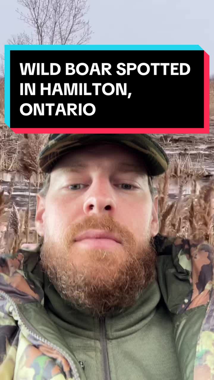 @Wild Ontario News