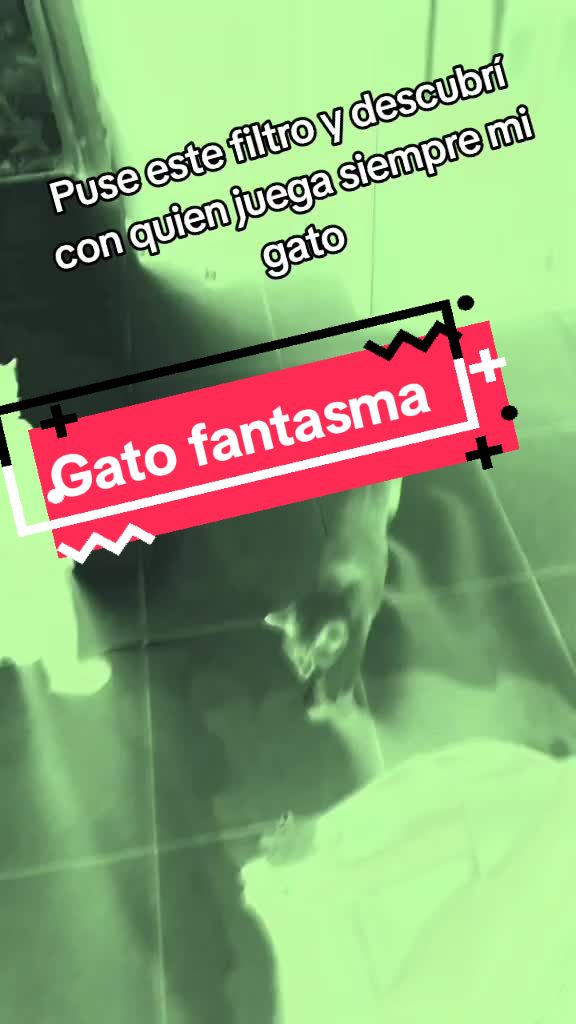 @ElGalloskyOficial