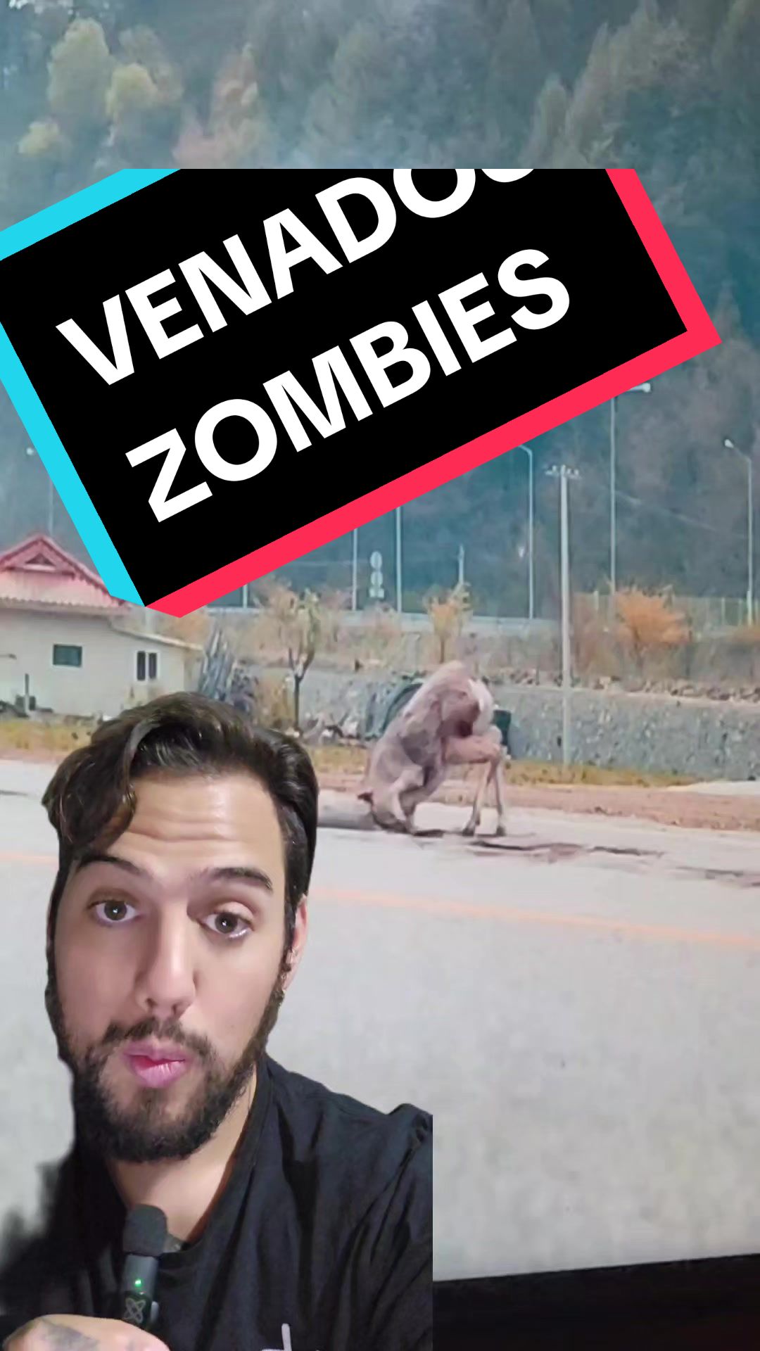 @ArchivosReservados