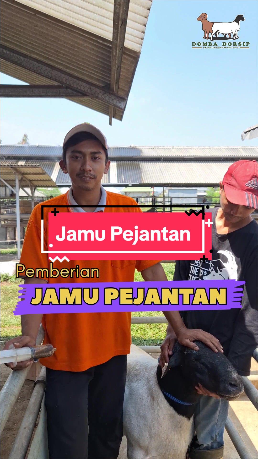 @Kambing Burja Official