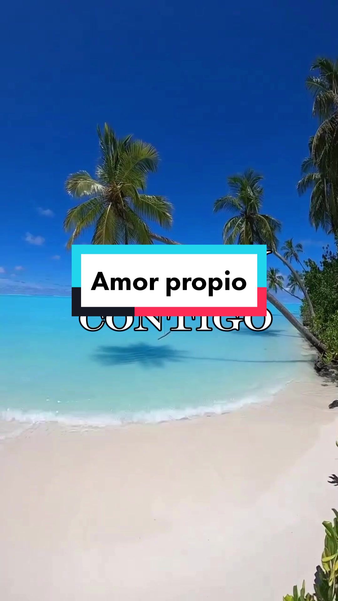 @la mejor versión de mi es luz