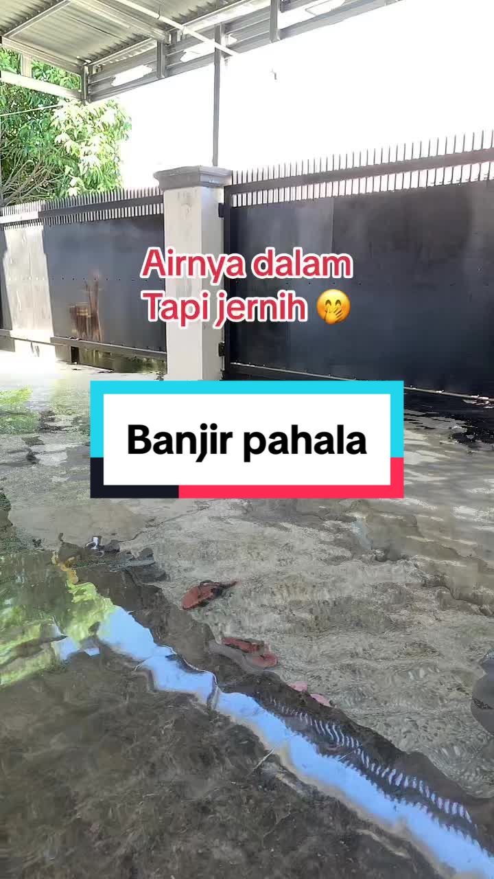@Eko Zahri