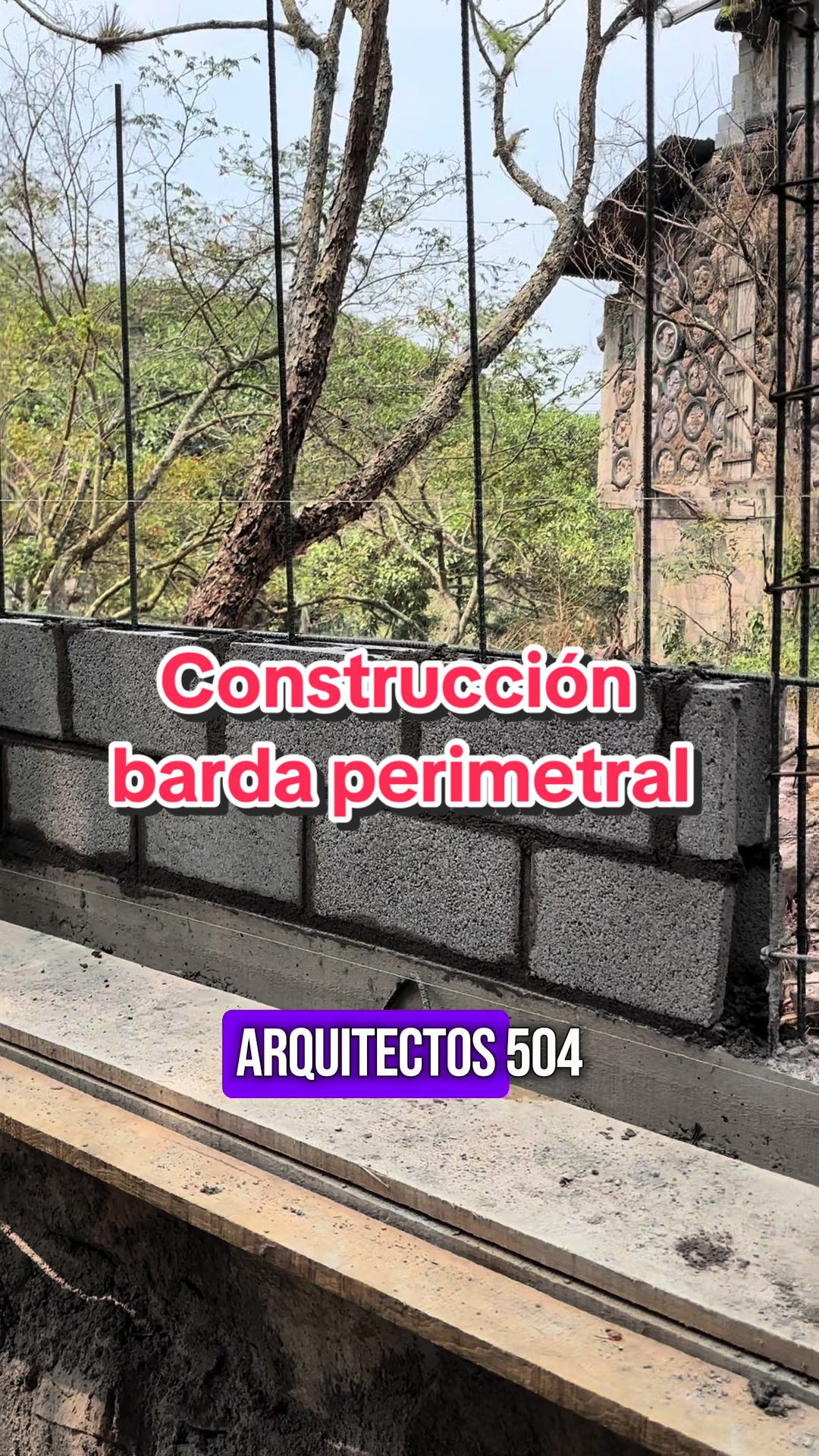 @ARQ504